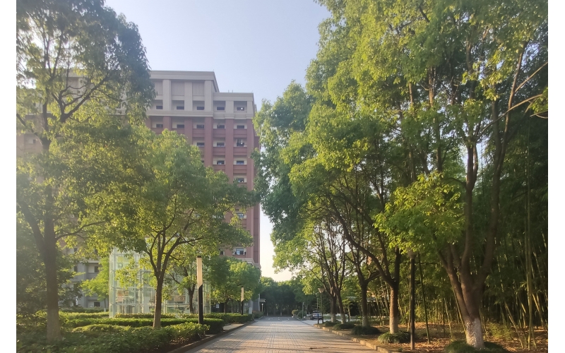稻田學(xué)塾-日本留學(xué)畢業(yè)回國優(yōu)勢有哪些
