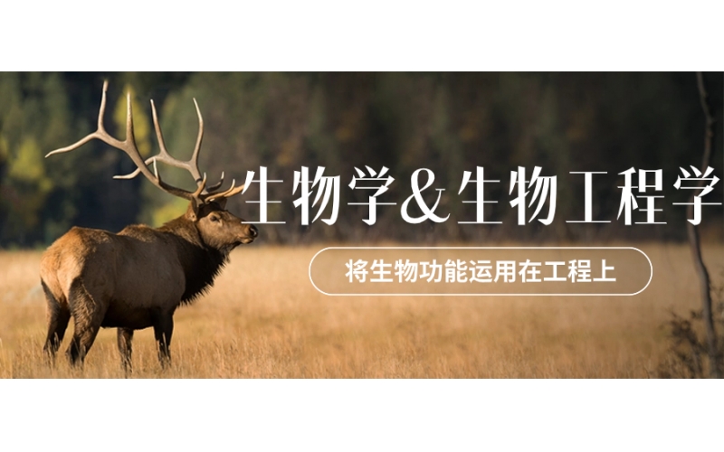 日本留學生物學與生物工程專業的區別
