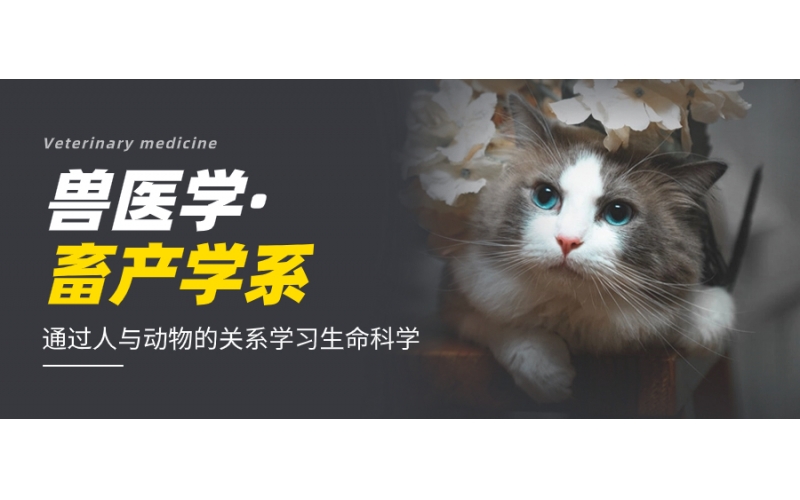 開設(shè)獸醫(yī)學(xué)的日本大學(xué)有哪些